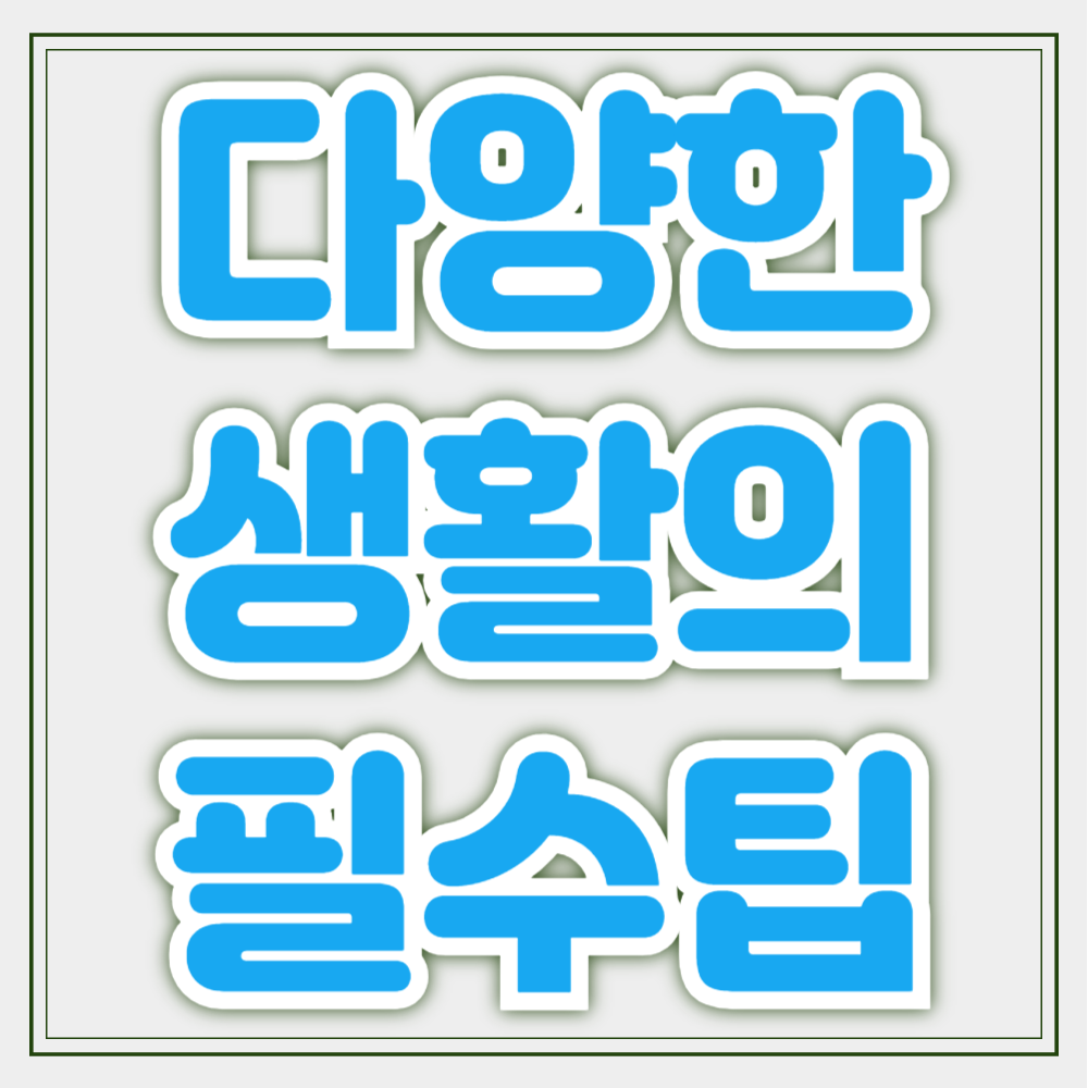 프로필사진