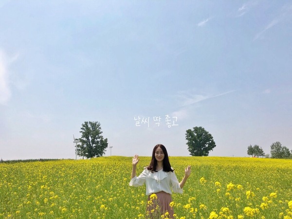 블로그 이미지
