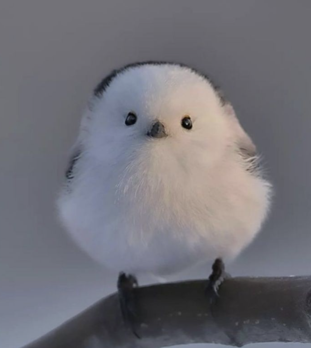 프로필사진