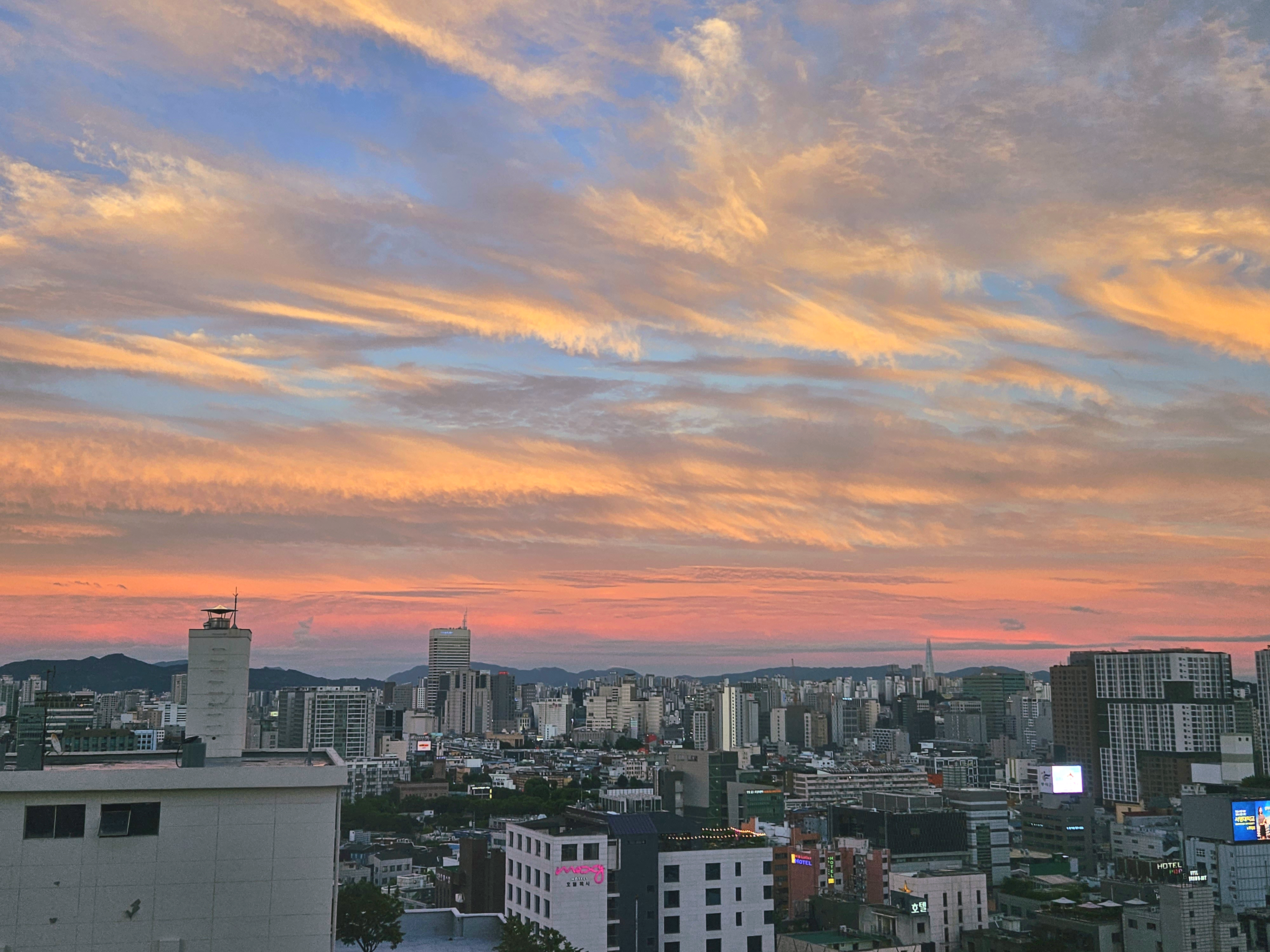 프로필사진