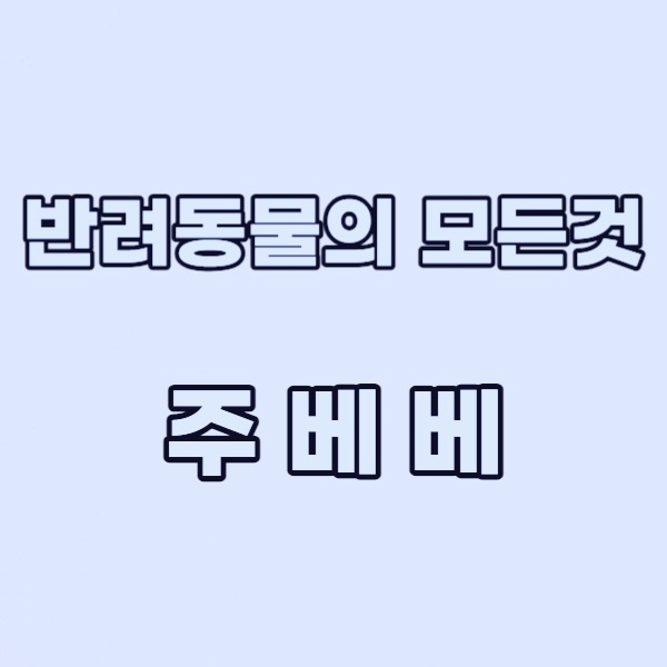 블로그 이미지