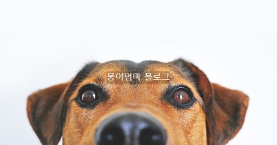 블로그 이미지