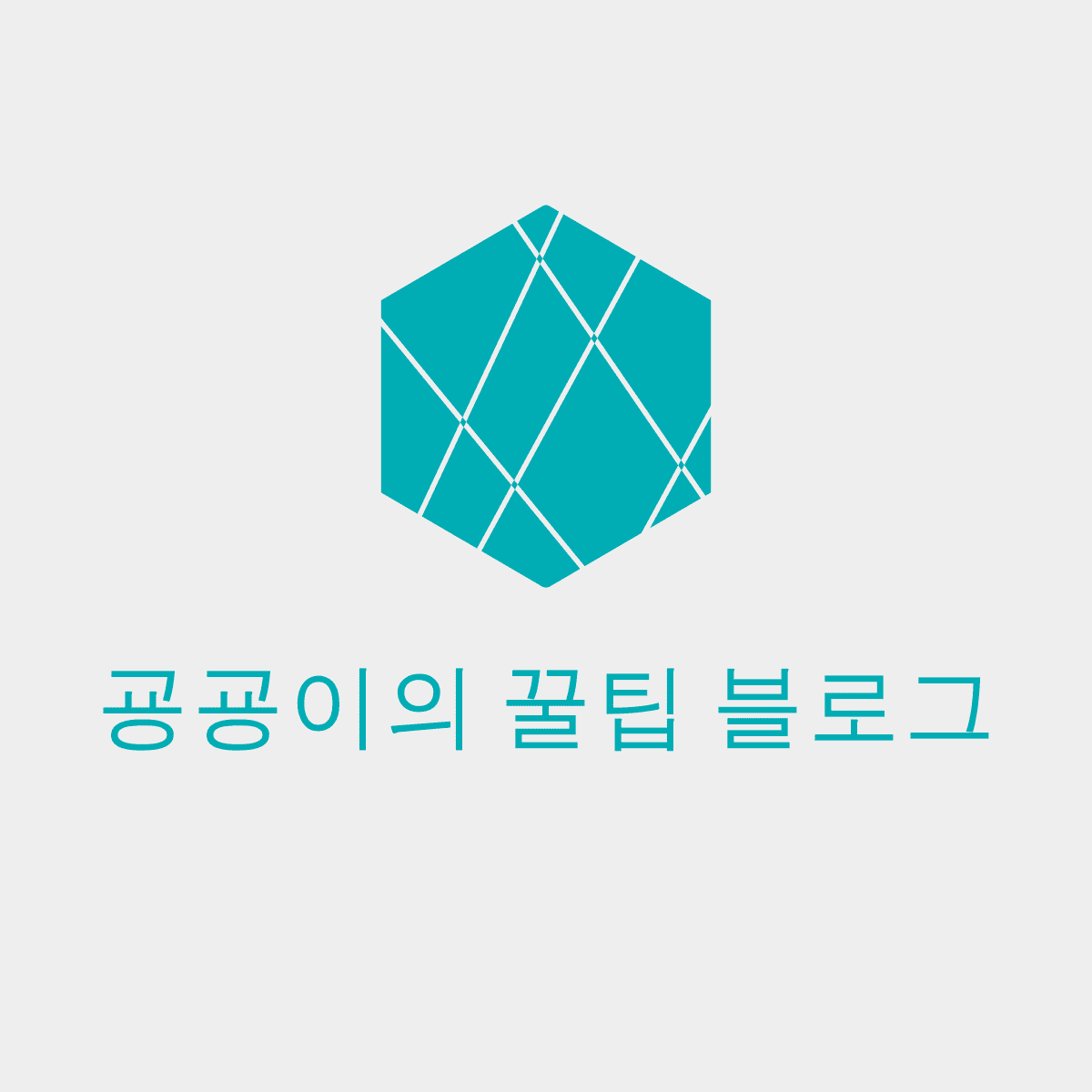 프로필사진