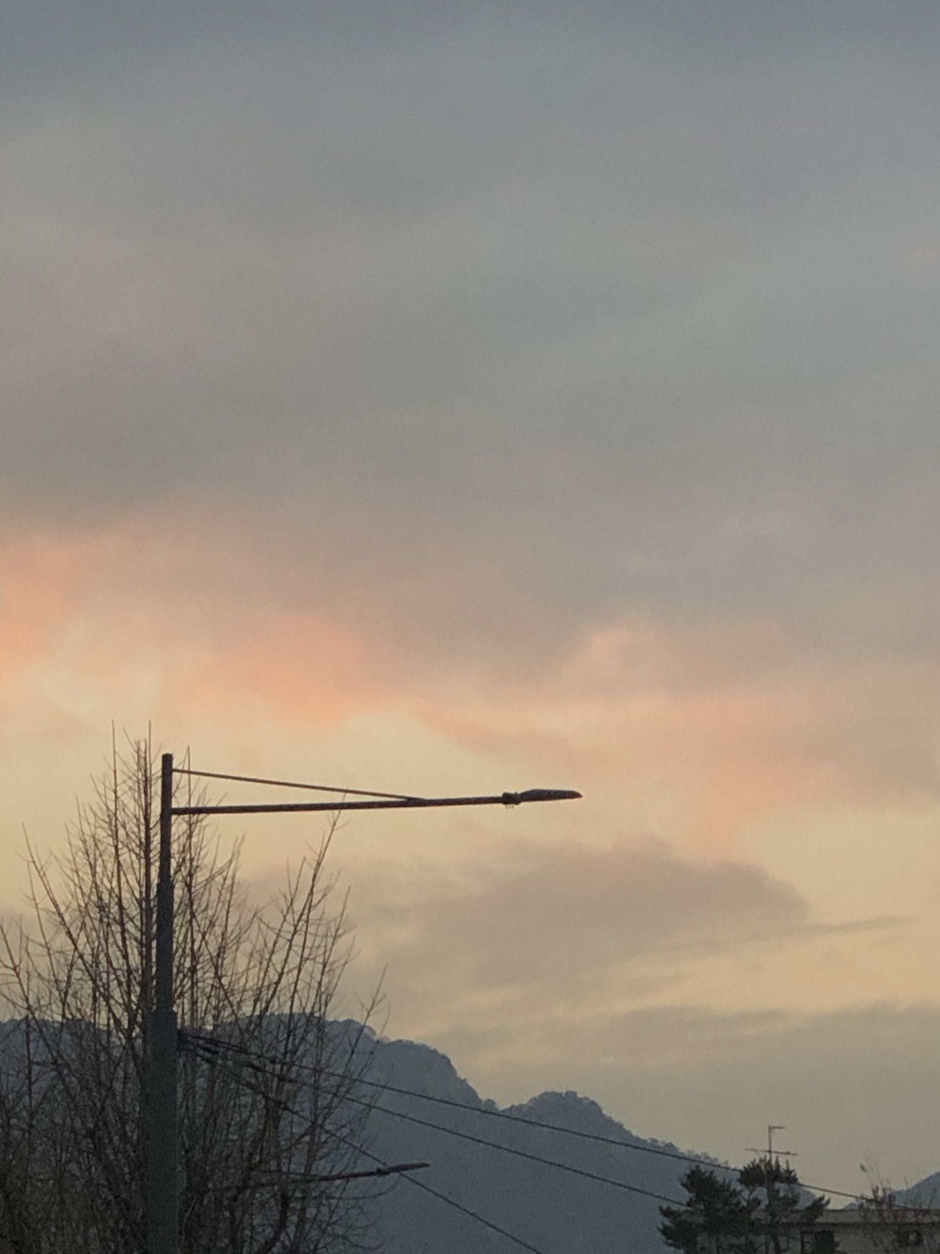 프로필사진