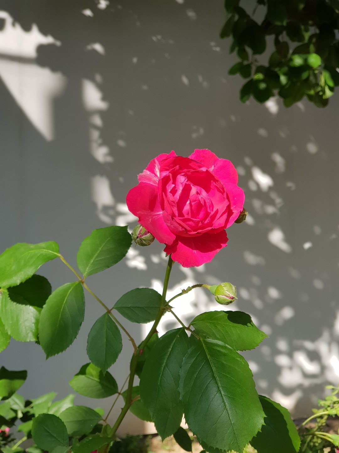 블로그 이미지