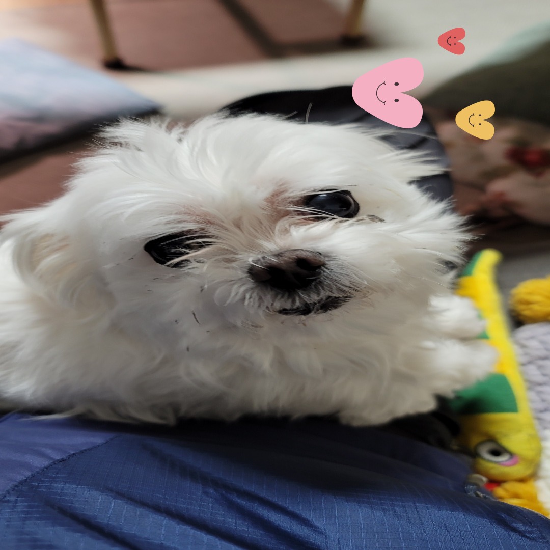 블로그 이미지