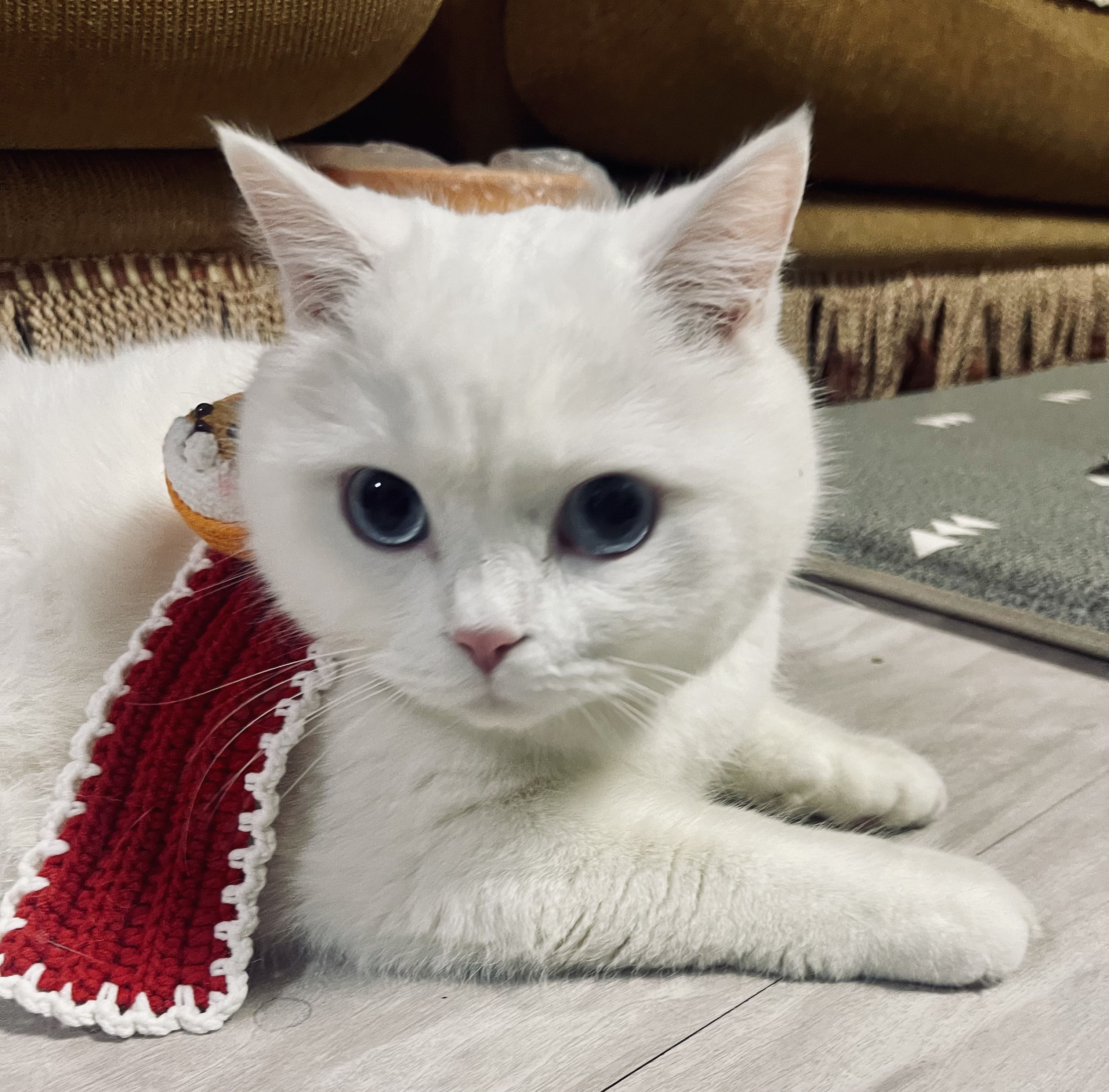 블로그 이미지