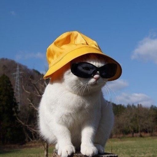 프로필사진