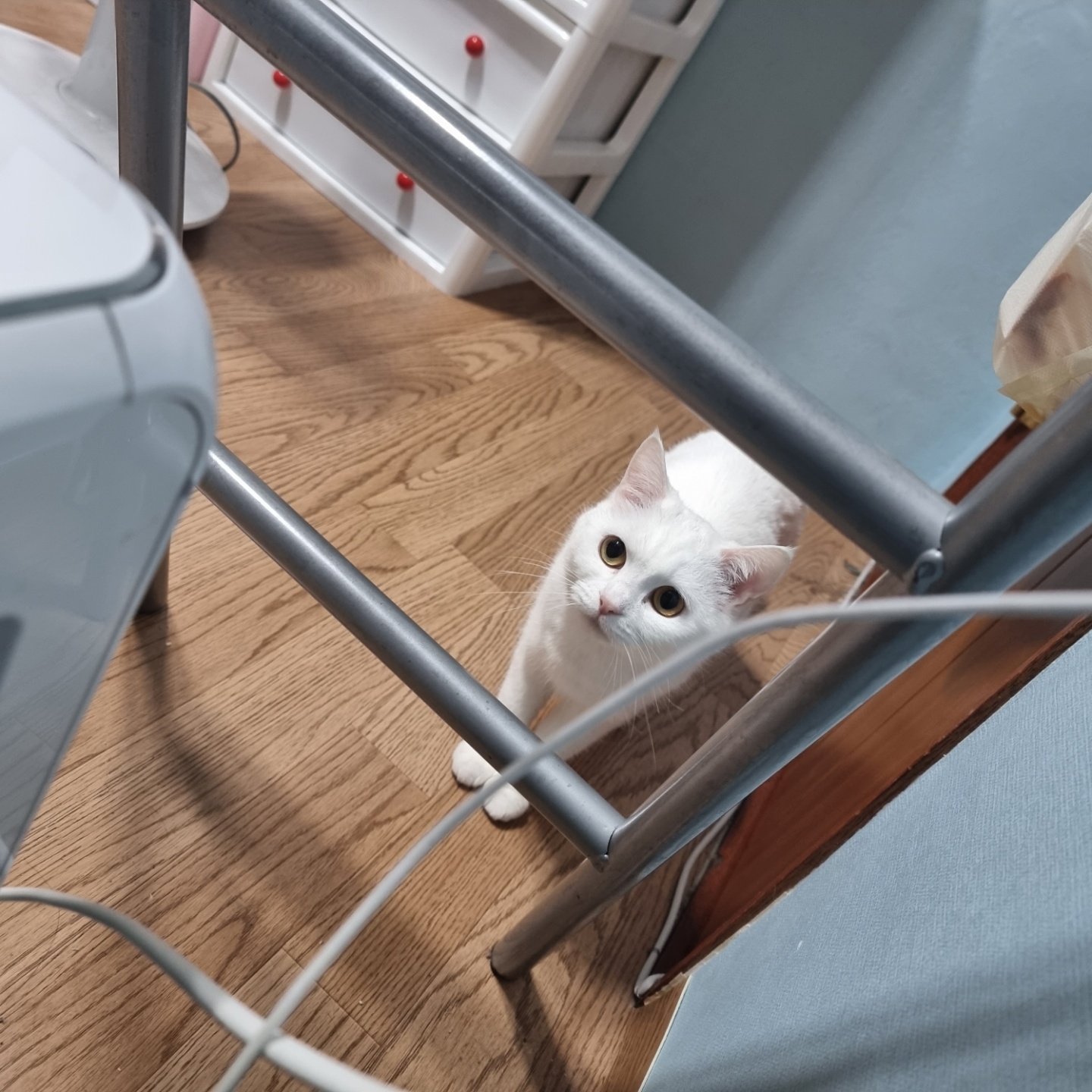 프로필사진