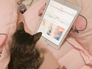 프로필사진