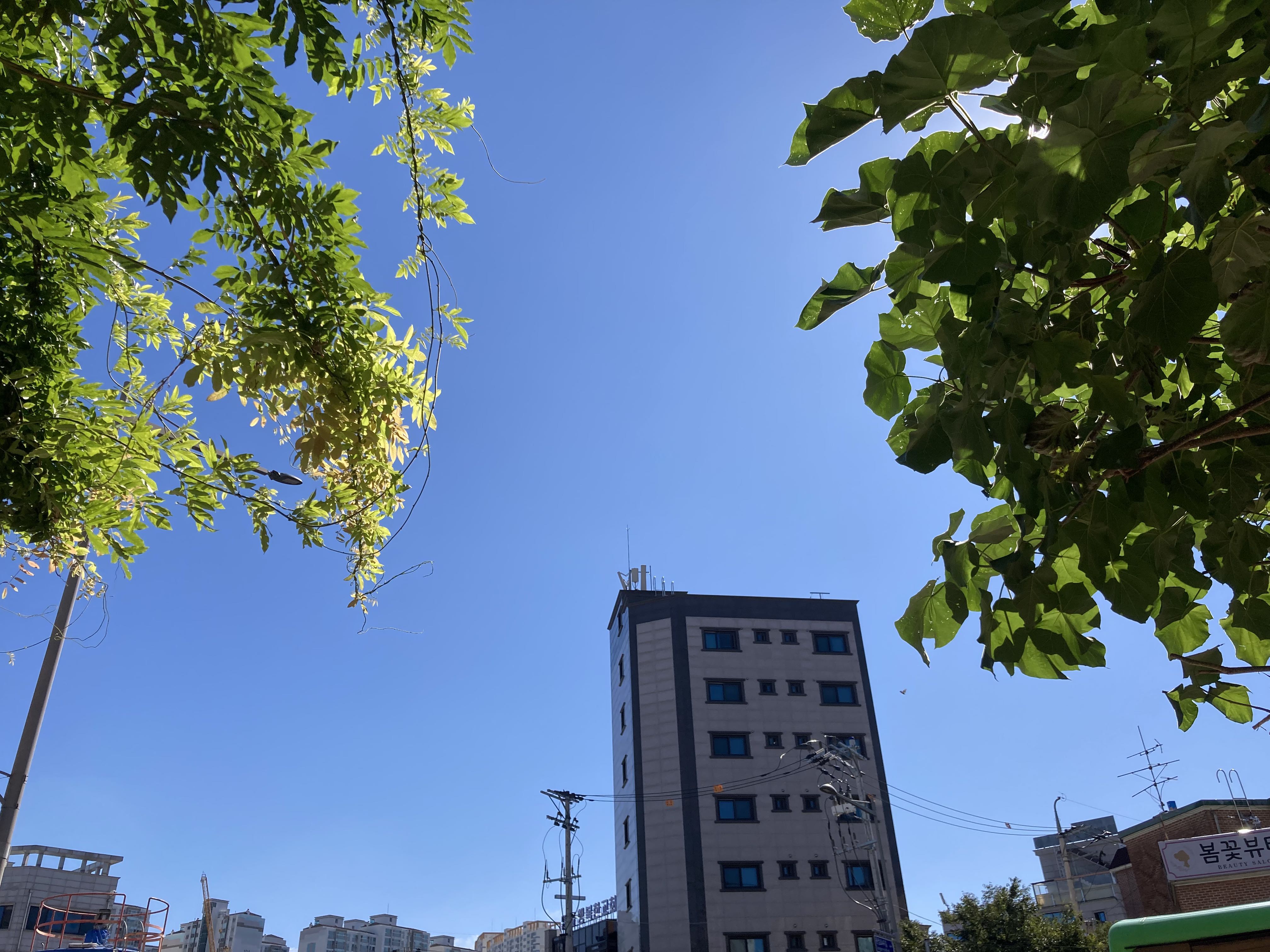 프로필사진
