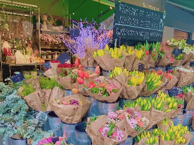 프로필사진