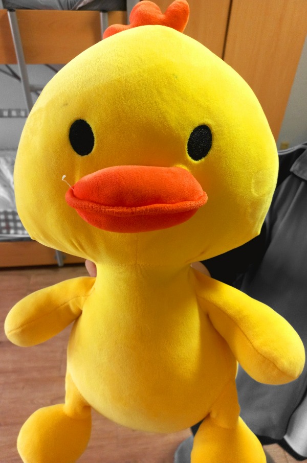 블로그 이미지