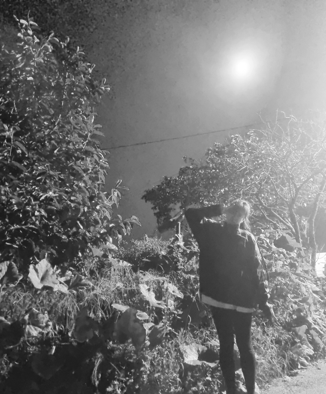 프로필사진
