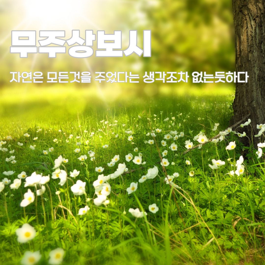 블로그 이미지