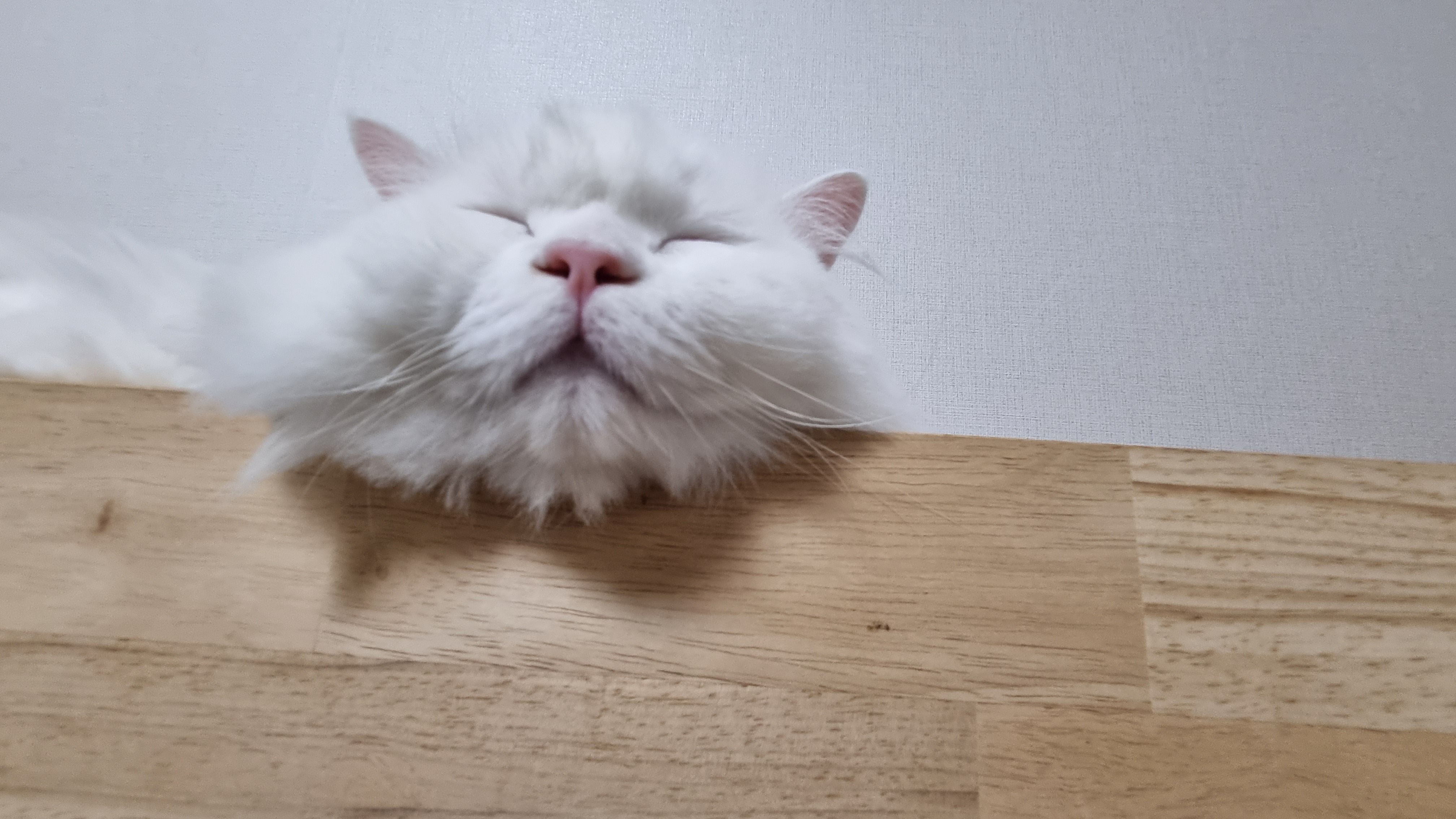 프로필사진