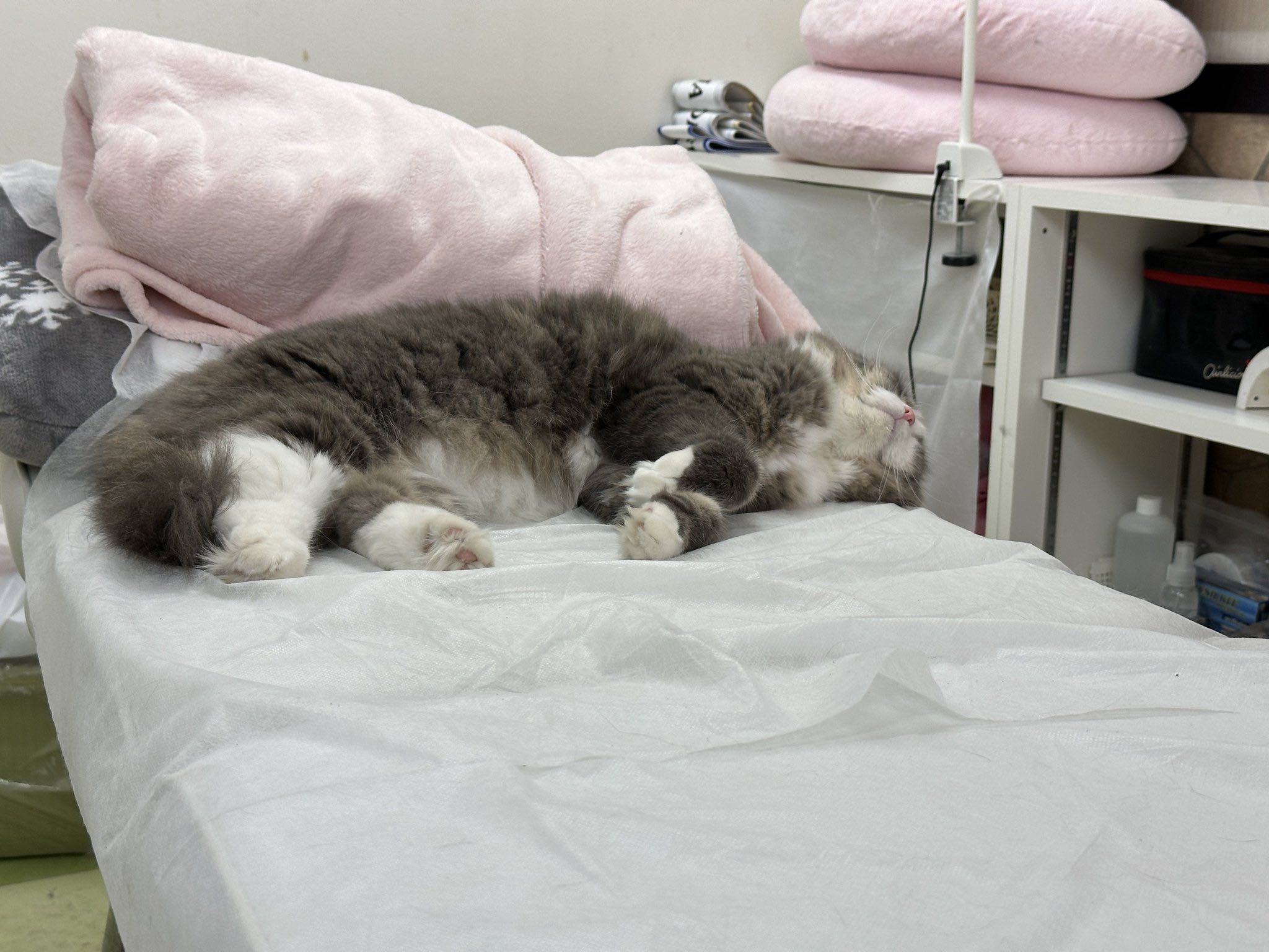 프로필사진