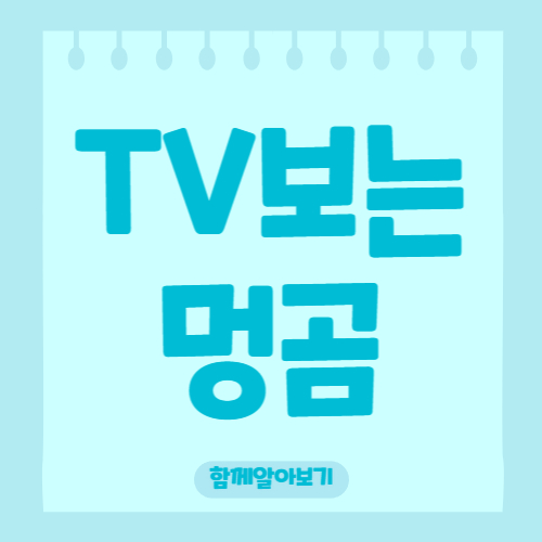 블로그 이미지
