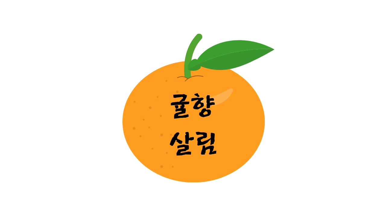 블로그 이미지