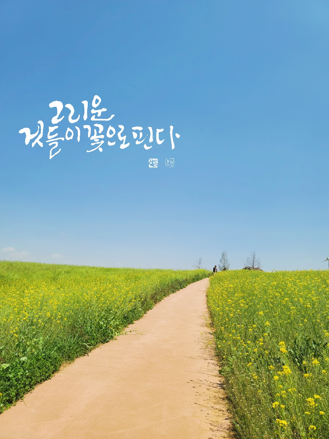 프로필사진