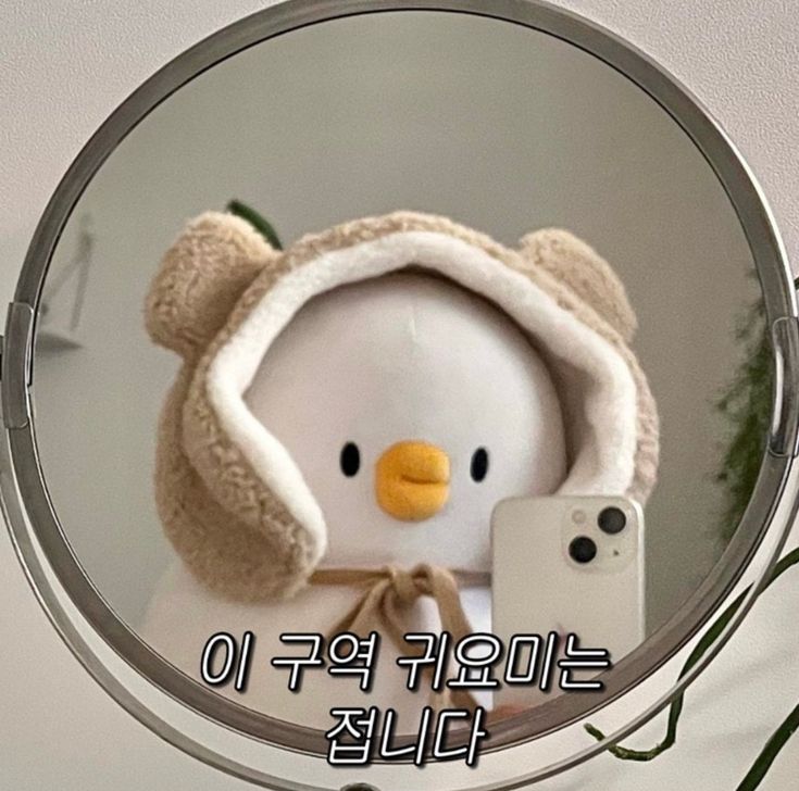 김_수댕