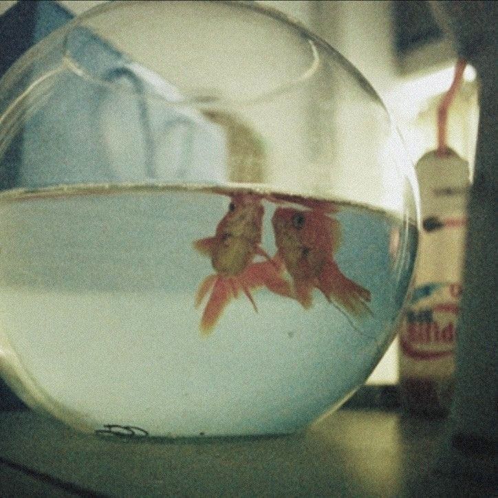 프로필사진