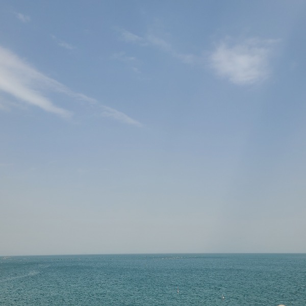 프로필 로고