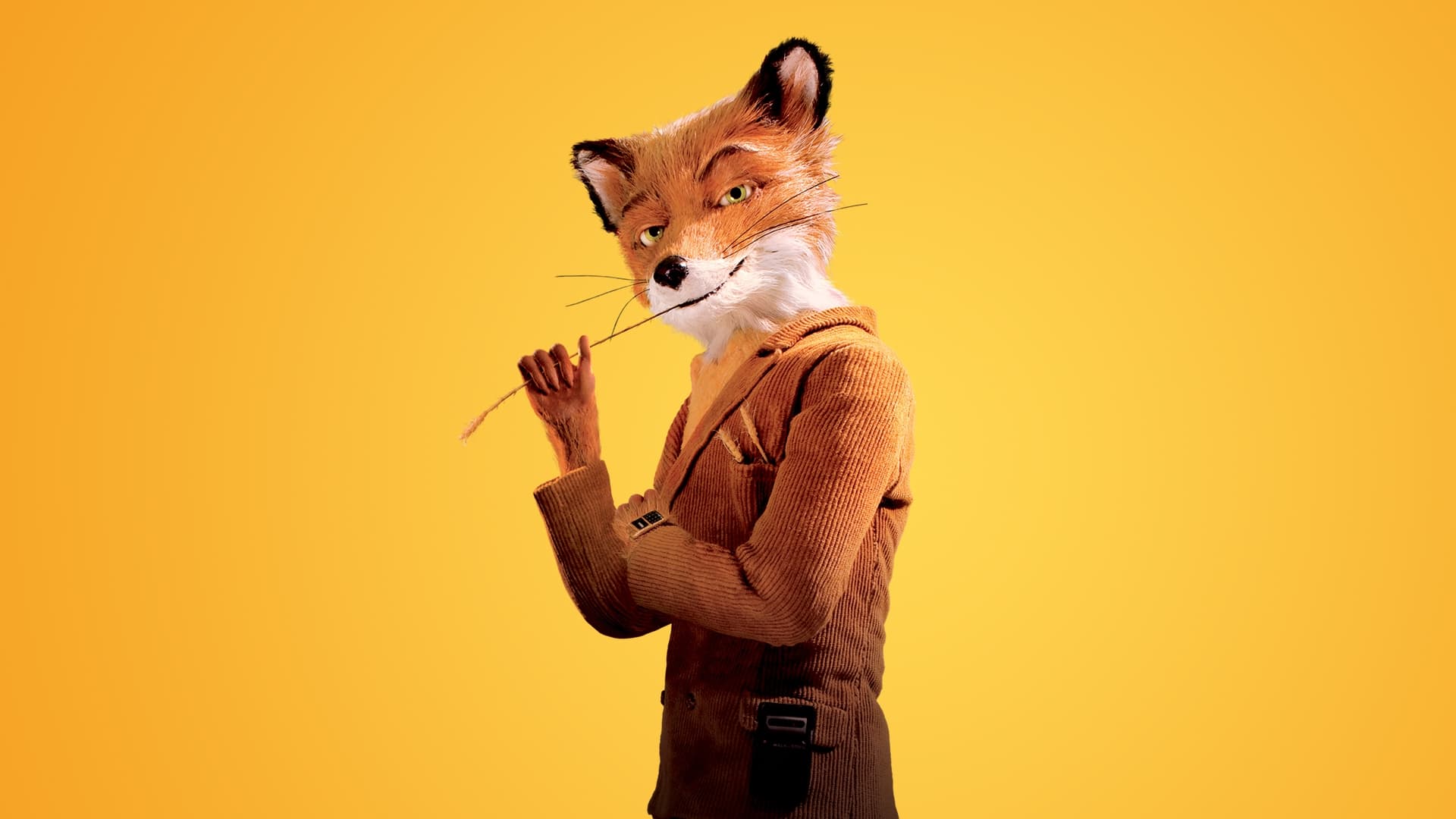 Tistory profile picture for @sandstorm