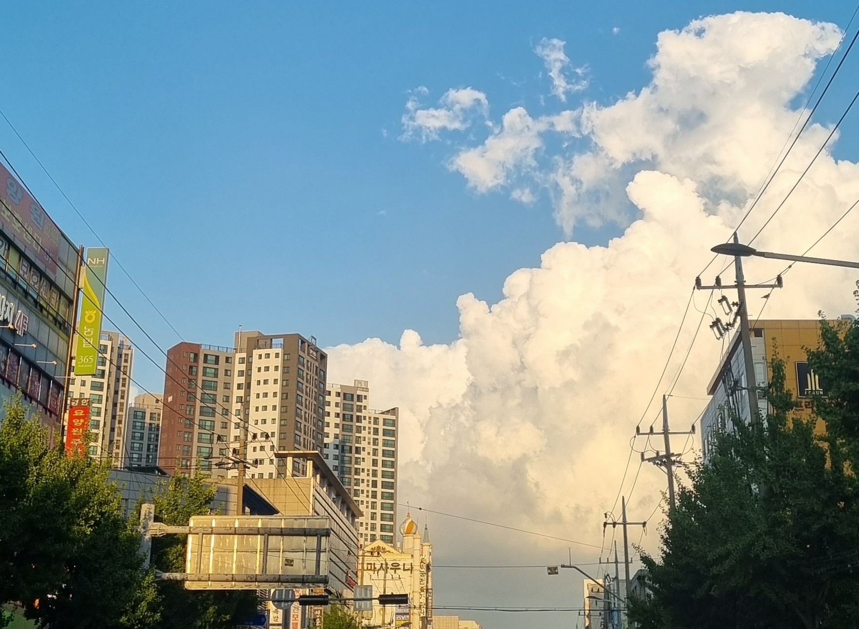 프로필사진