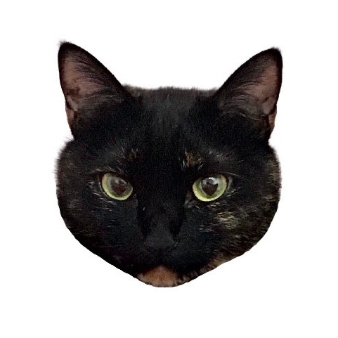 adorecamus