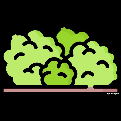 Tistory profile picture for @bushes
