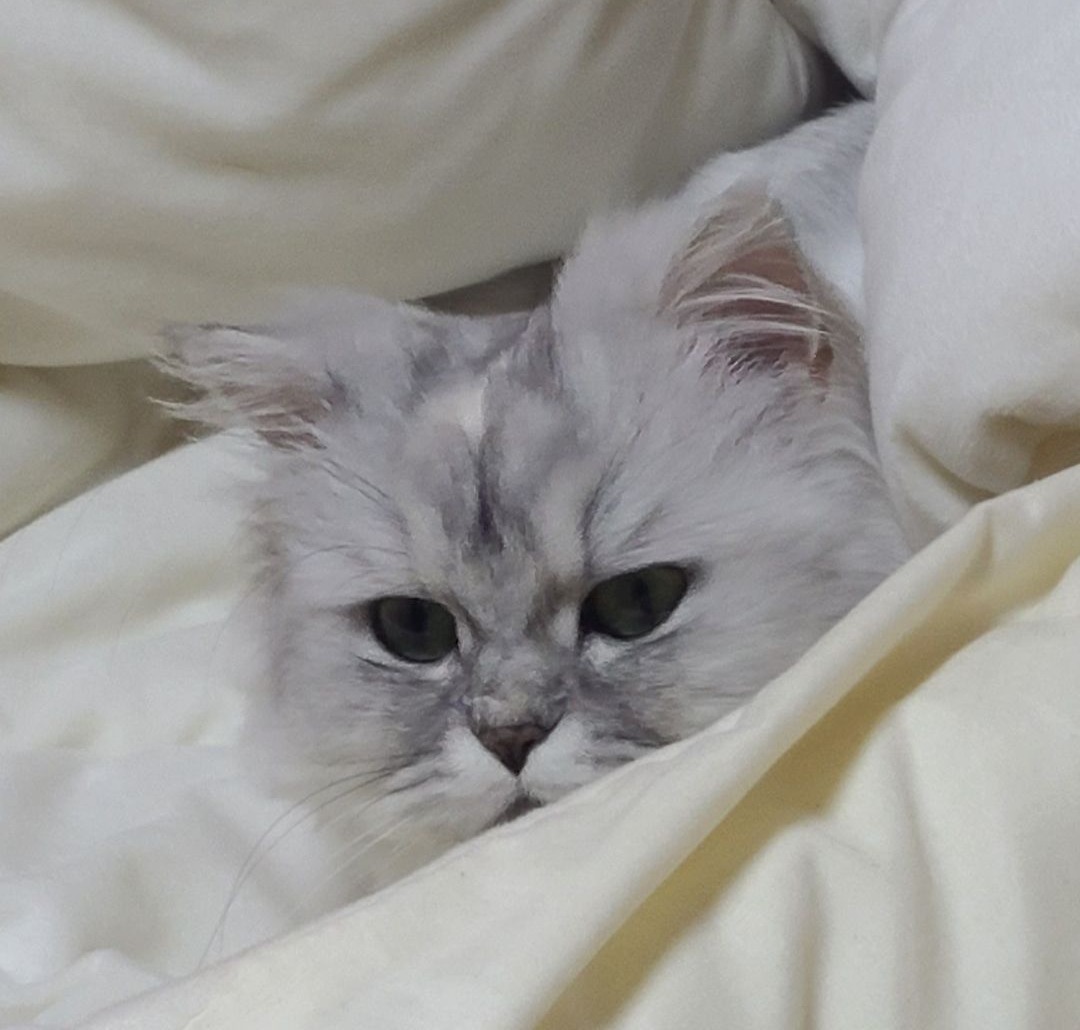 프로필사진