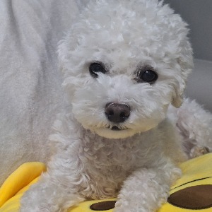 프로필사진