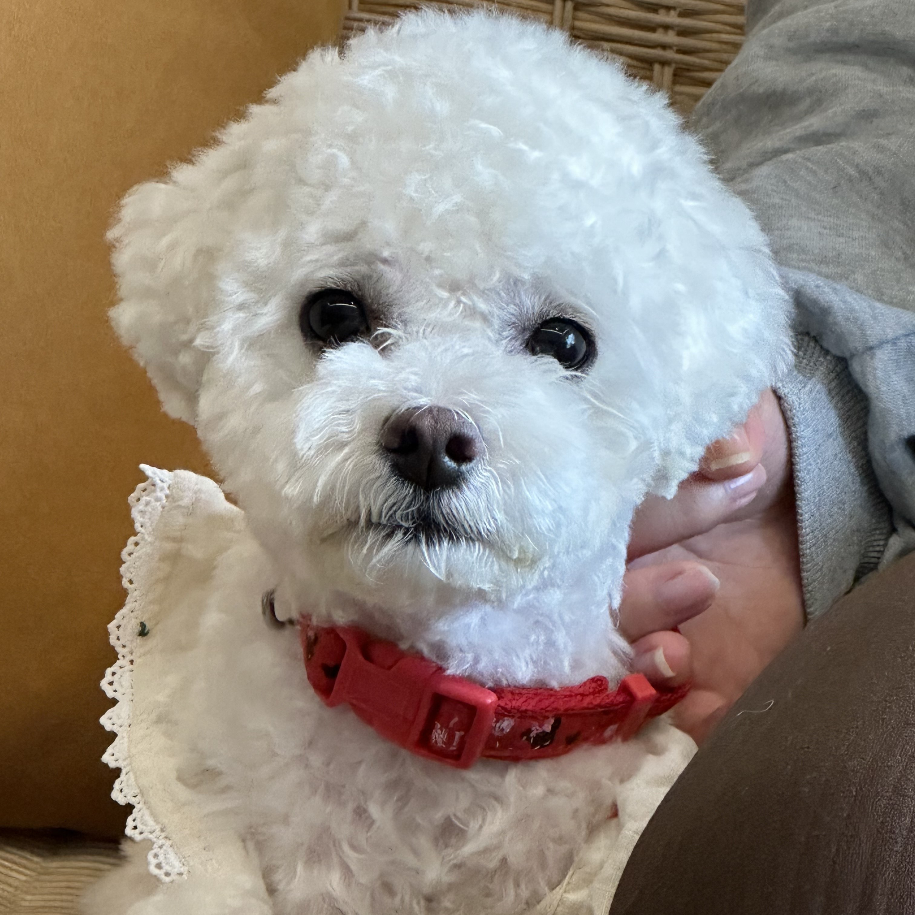 프로필사진