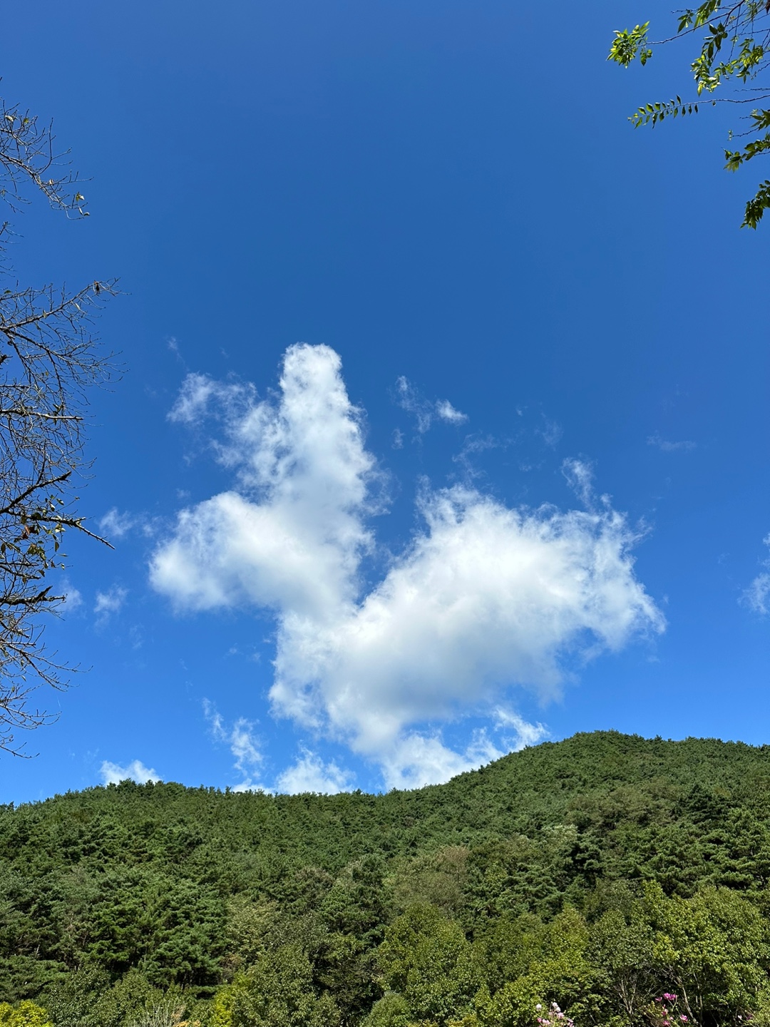 블로그 이미지