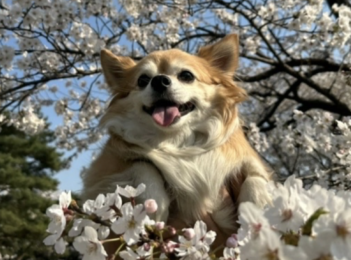 블로그 이미지