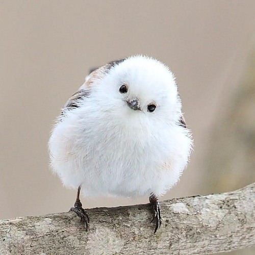 프로필사진