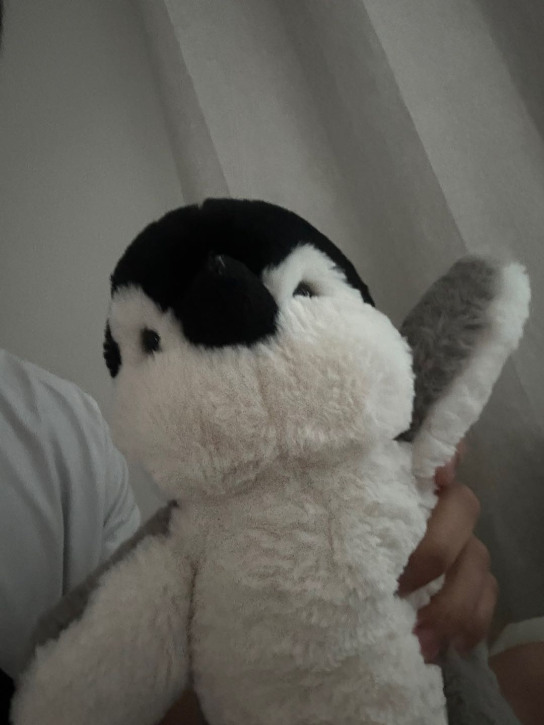블로그 이미지