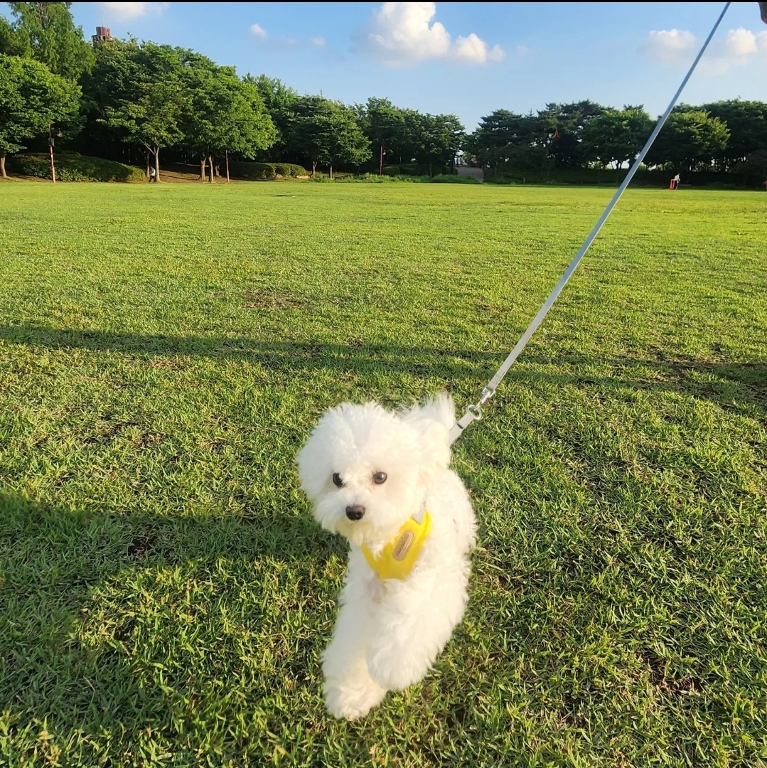 프로필사진