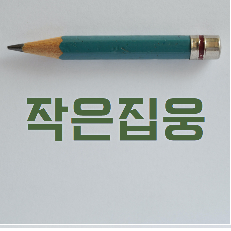 블로그 이미지
