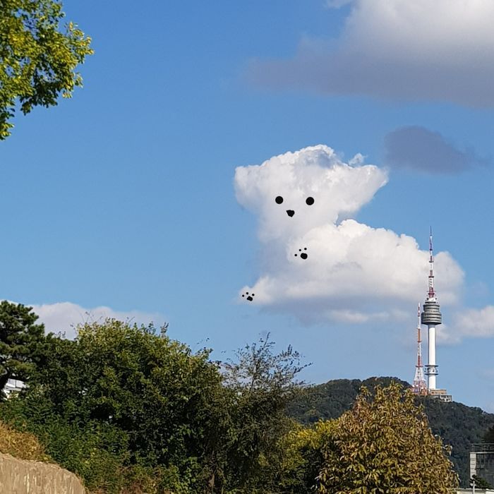 블로그 이미지