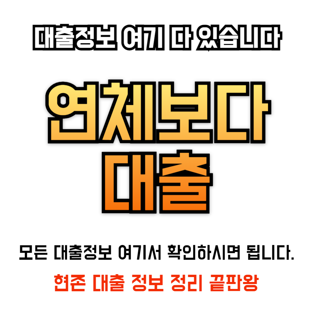 대출 정보 끝판왕