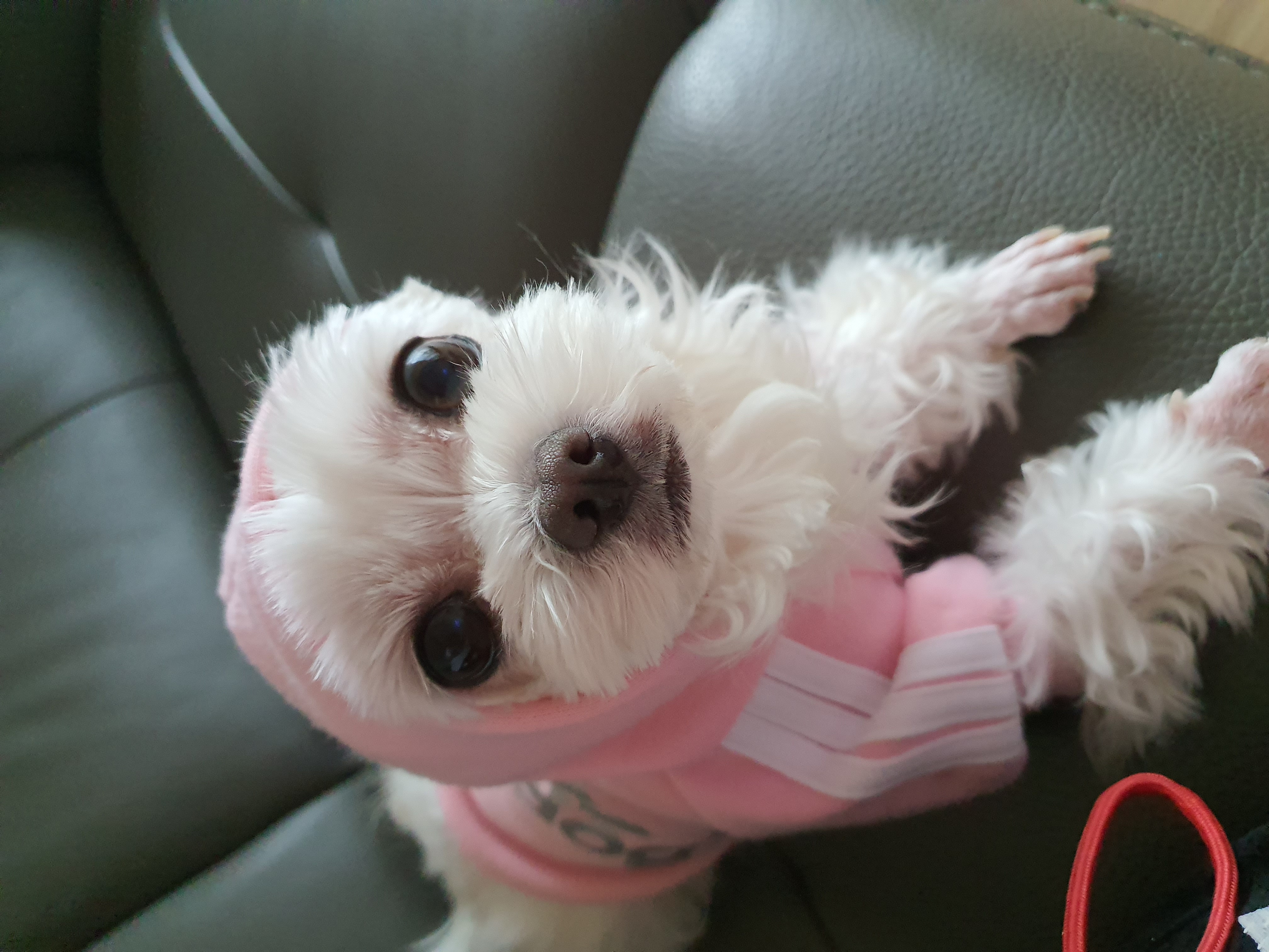 프로필사진