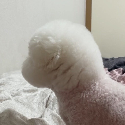 프로필사진