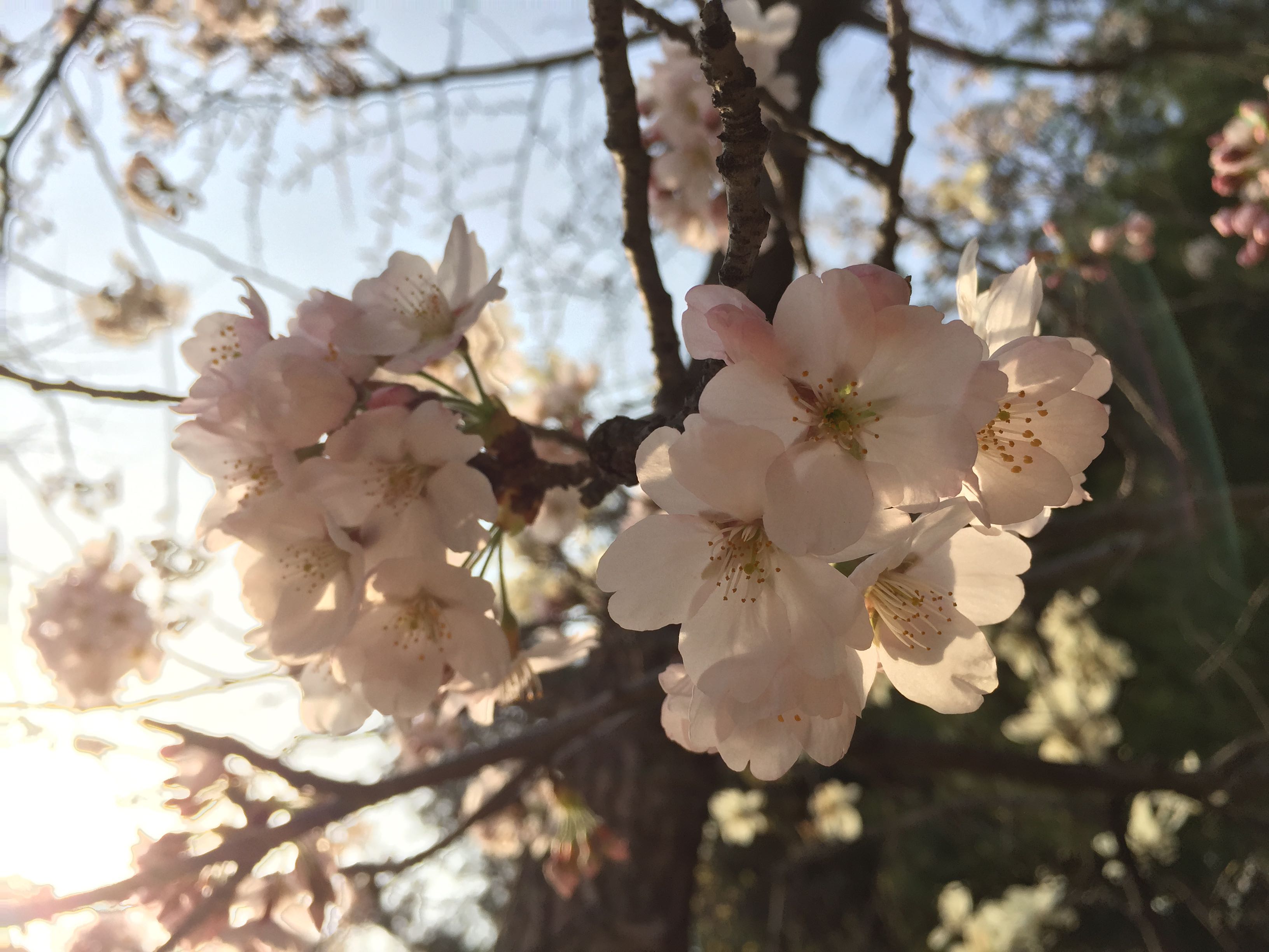 프로필사진