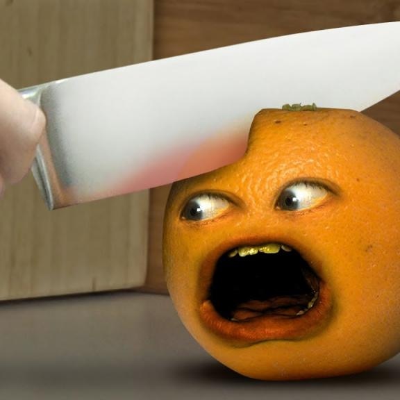 프로필사진
