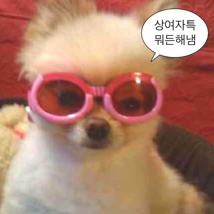 프로필사진