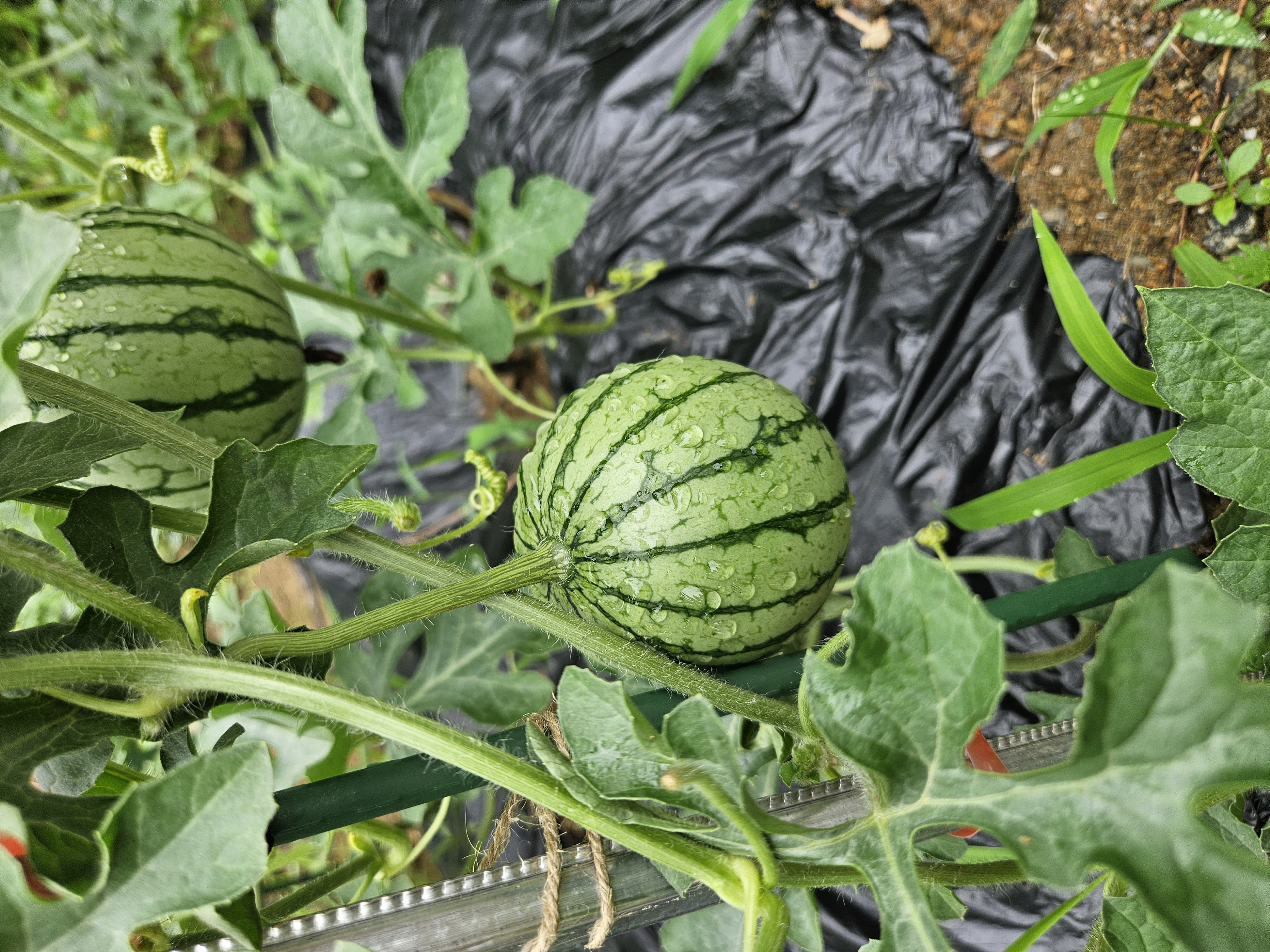 프로필사진