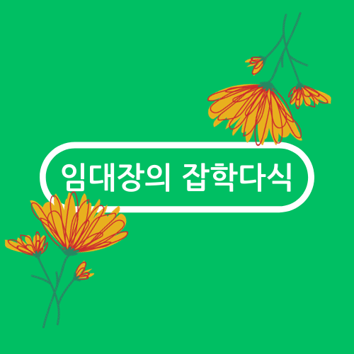 블로그 이미지