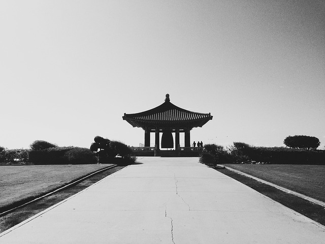 프로필사진